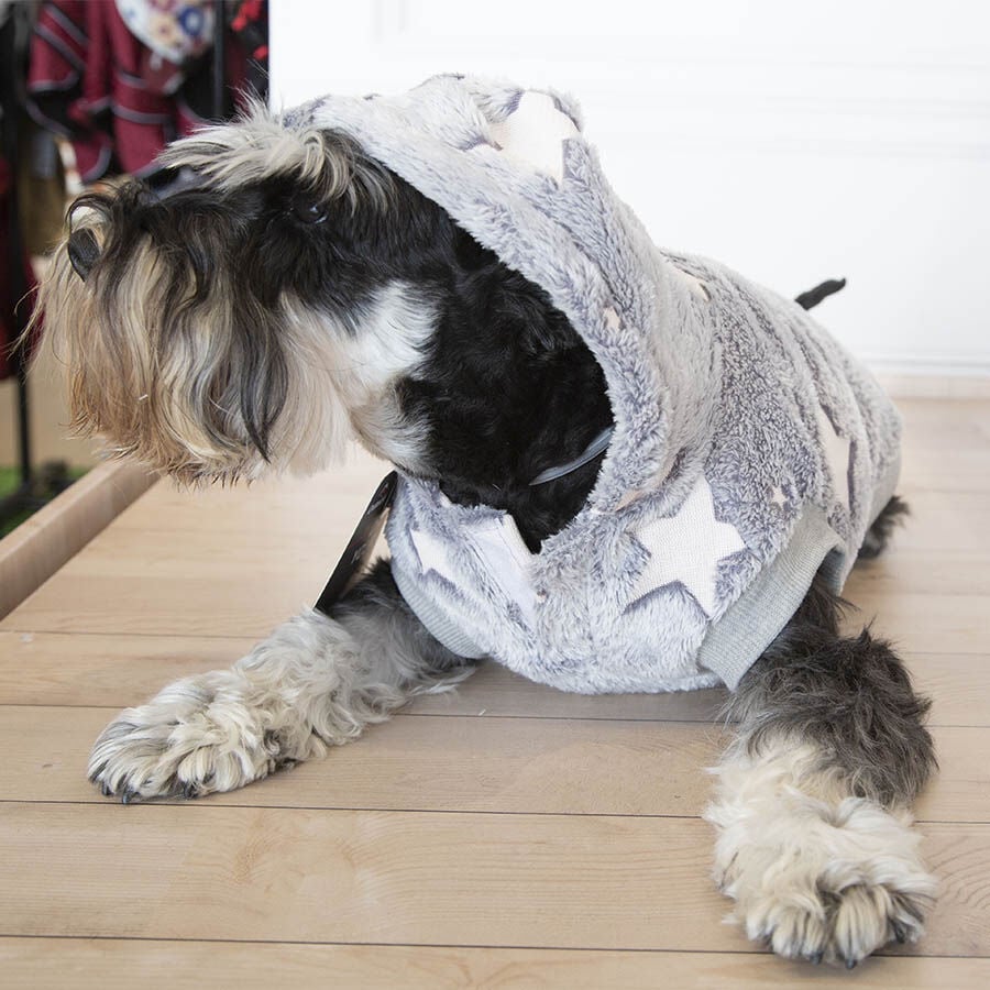 Outech Fleece Sudadera Gris con Estampado de Estrellas para perros, , large Imagen numero 2